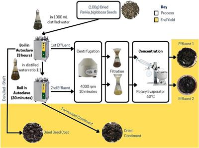 Food waste from Parkia biglobosa seed processing as a potential biomass resource for valorization